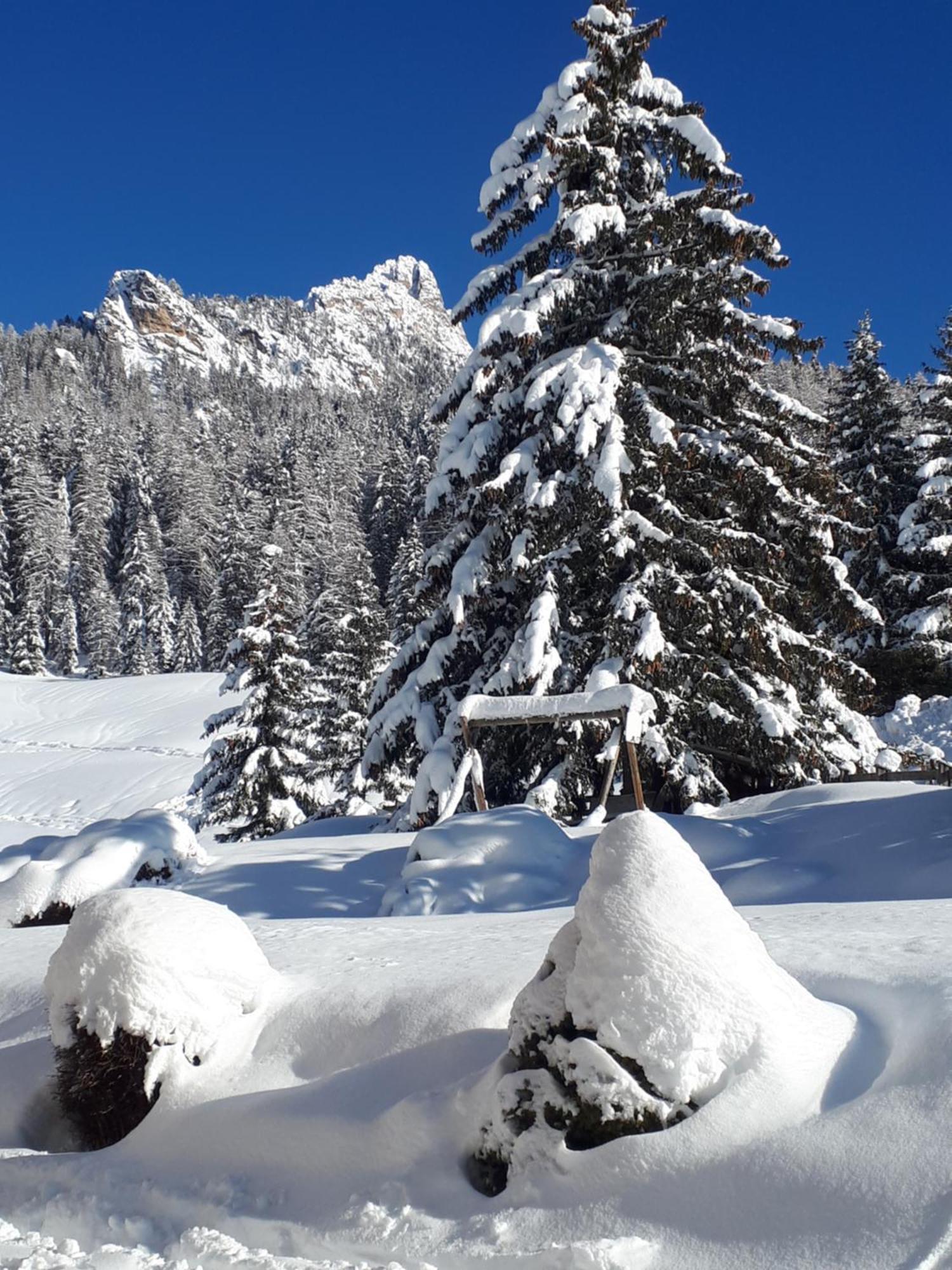Garni Hotel Iris Selva di Val Gardena Exterior foto