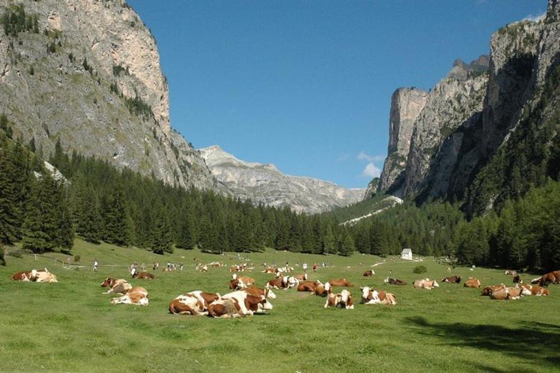 Garni Hotel Iris Selva di Val Gardena Exterior foto